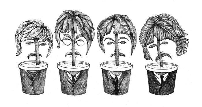 Iconic Musicians Reimagined As Potted Plants By Jingle Drew