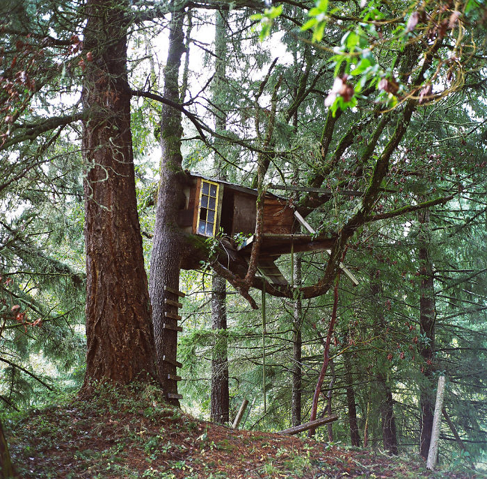Kyle’s Treehouse