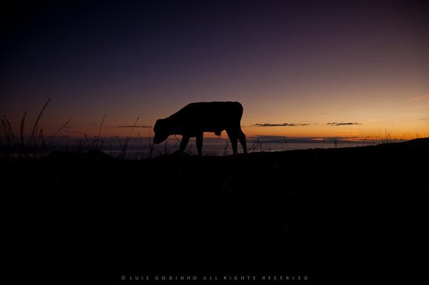 Azores, The Lost Islands In The Atlantic. Azores, The Lost Islands In The Atlantic.