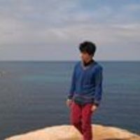 joao.guerreiro.773 avatar