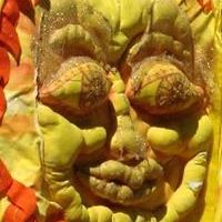 teresa.arias.54 avatar