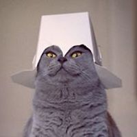 interactivechris avatar