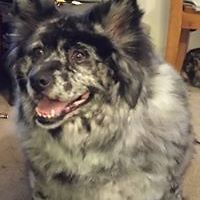 phroggysmyles2 avatar