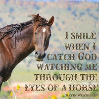 kindallcarter avatar