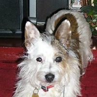 dianna.earley avatar