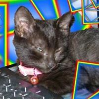 kathleen.ludlow avatar