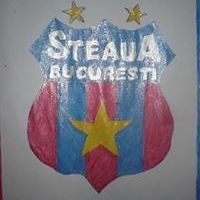 tecuceanu.oana avatar