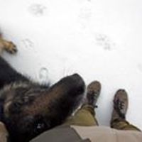 tanja.kocjancic.9 avatar