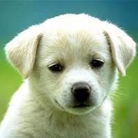 naomiolumbori avatar