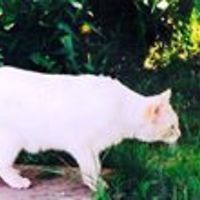 michelle.victoriabc avatar