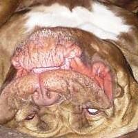 erik-granqvist-5 avatar