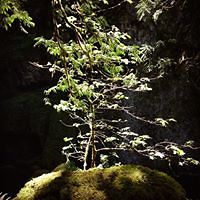 patricia.albrecht.507 avatar