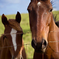 josiahpatterson avatar