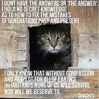 andrea.kenyon.10 avatar