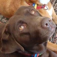 jillianrose.milne avatar