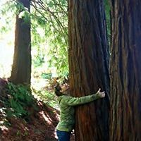 amber-ferrizz avatar