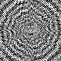 letsplayonmymoodswings avatar