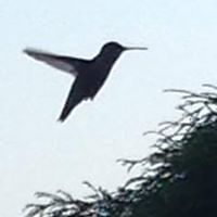 phil.nostrand avatar