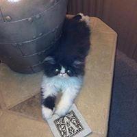 marcia.amen.3 avatar