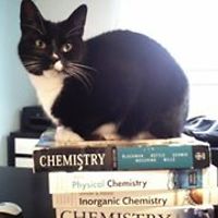 alicia.staleybest avatar