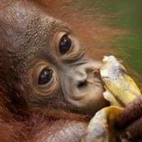 sandra.chambers.904 avatar