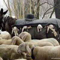 leighann.fuller.7 avatar