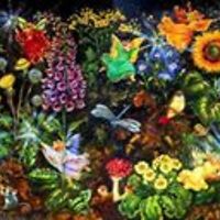 suzanne.mcgee3 avatar