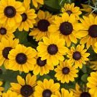 barbara.m.allgeier avatar