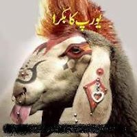 Victoria.Howard.630 avatar