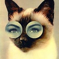 iffounddonotopen avatar