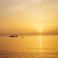 richard-sheehan1 avatar