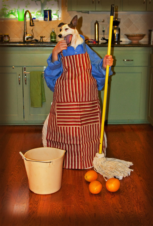 I Took A Picture Of My Dog Every Day For A Year