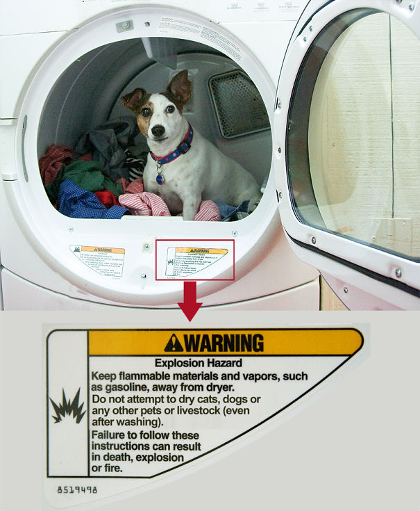 I Took A Picture Of My Dog Every Day For A Year I Took A Picture Of My Dog Every Day For A Year