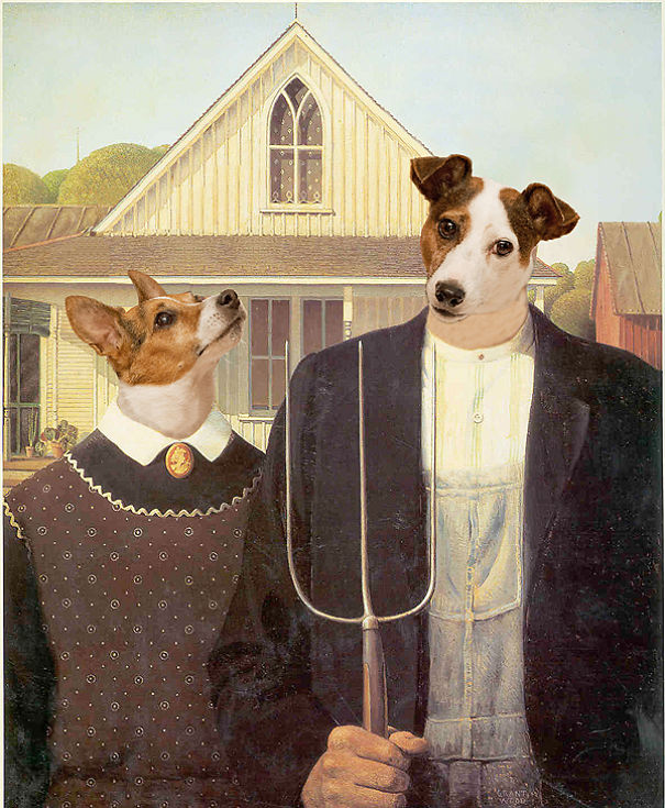 I Took A Picture Of My Dog Every Day For A Year I Took A Picture Of My Dog Every Day For A Year