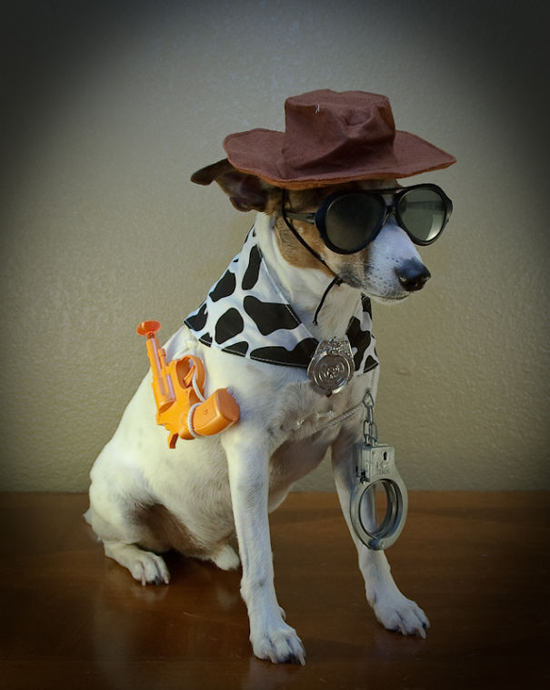 I Took A Picture Of My Dog Every Day For A Year