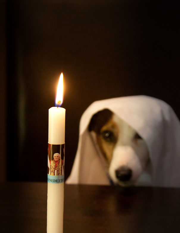 I Took A Picture Of My Dog Every Day For A Year