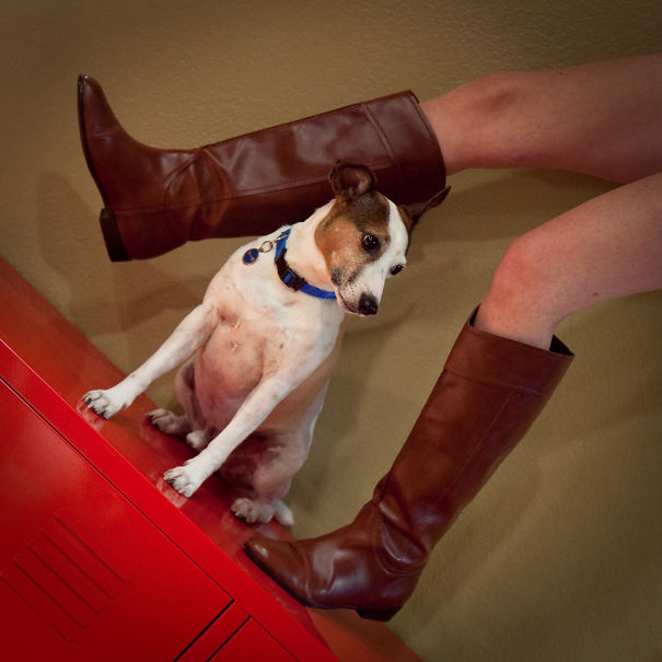 I Took A Picture Of My Dog Every Day For A Year I Took A Picture Of My Dog Every Day For A Year