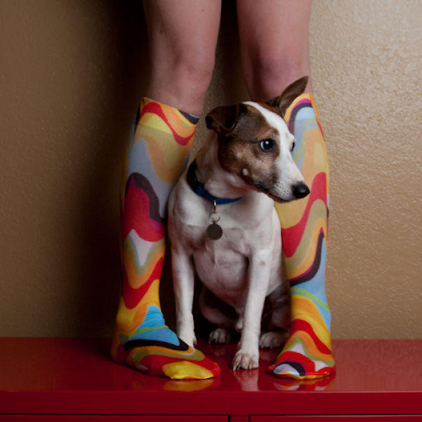 I Took A Picture Of My Dog Every Day For A Year I Took A Picture Of My Dog Every Day For A Year