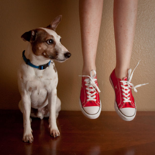 I Took A Picture Of My Dog Every Day For A Year I Took A Picture Of My Dog Every Day For A Year