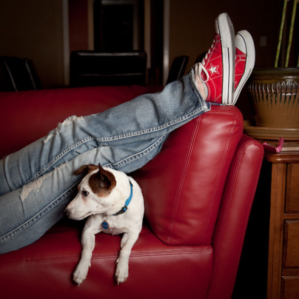 I Took A Picture Of My Dog Every Day For A Year I Took A Picture Of My Dog Every Day For A Year