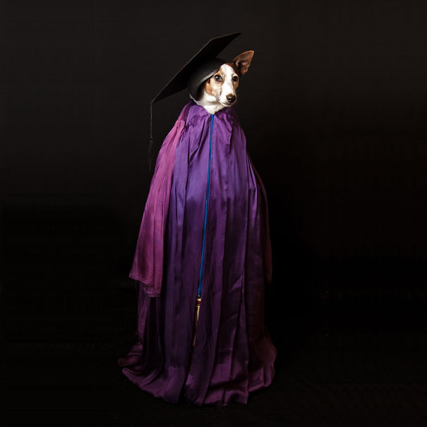 I Took A Picture Of My Dog Every Day For A Year I Took A Picture Of My Dog Every Day For A Year