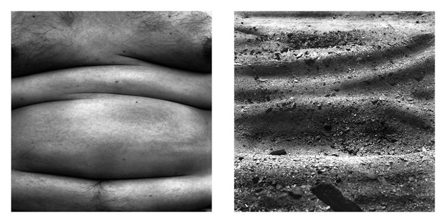 The Life Cycles Of Humans Through The Prism Of The Four Elements