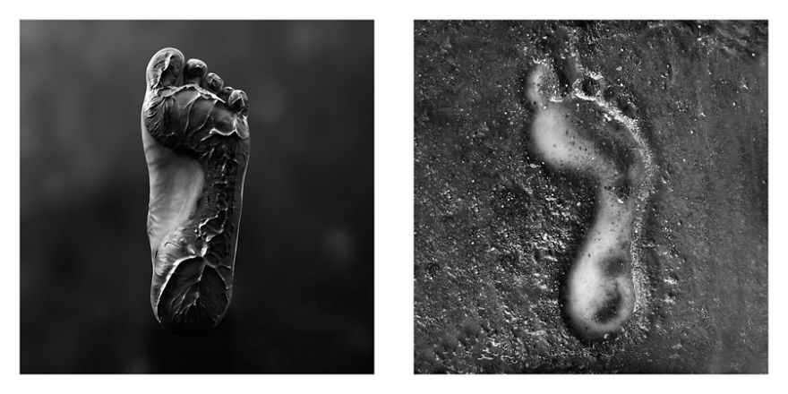 The Life Cycles Of Humans Through The Prism Of The Four Elements