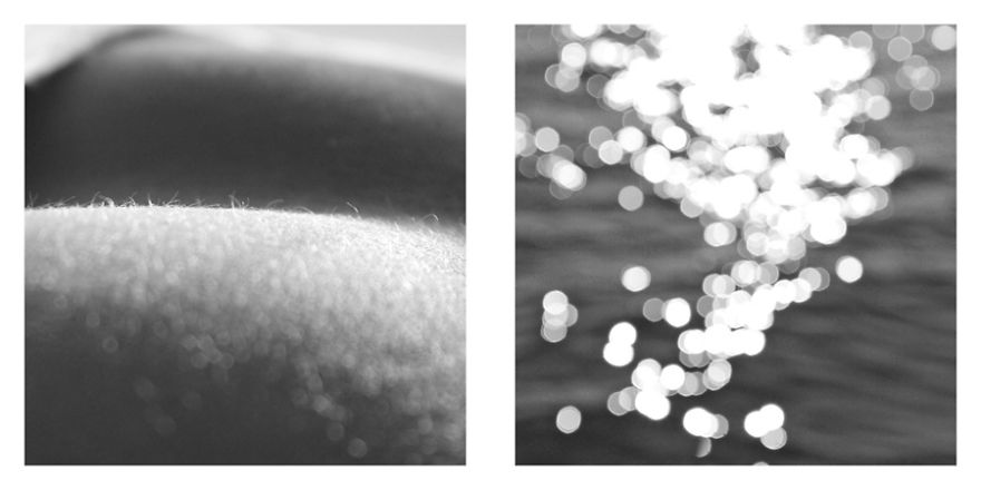 The Life Cycles Of Humans Through The Prism Of The Four Elements The Life Cycles Of Humans Through The Prism Of The Four Elements