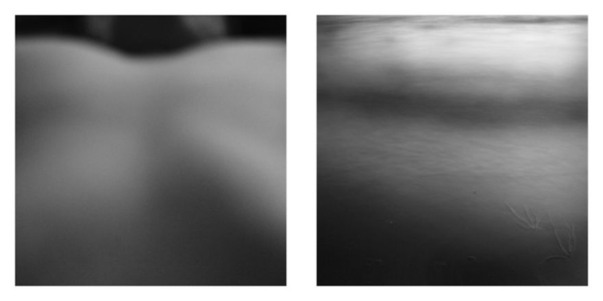 The Life Cycles Of Humans Through The Prism Of The Four Elements The Life Cycles Of Humans Through The Prism Of The Four Elements