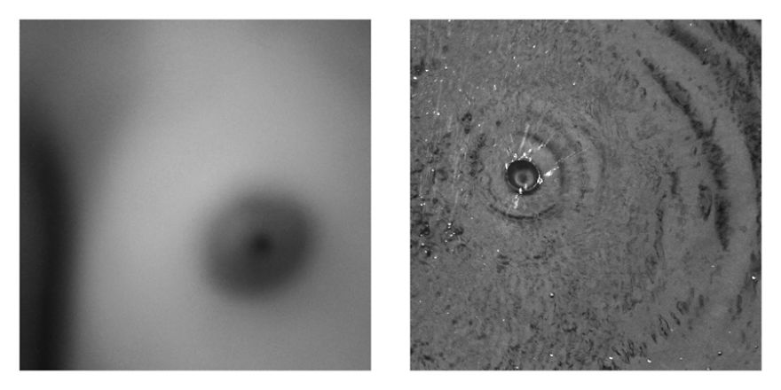 The Life Cycles Of Humans Through The Prism Of The Four Elements