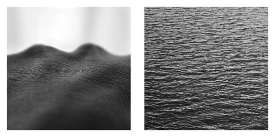 The Life Cycles Of Humans Through The Prism Of The Four Elements The Life Cycles Of Humans Through The Prism Of The Four Elements