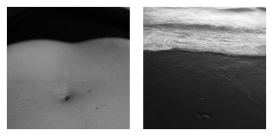 The Life Cycles Of Humans Through The Prism Of The Four Elements The Life Cycles Of Humans Through The Prism Of The Four Elements