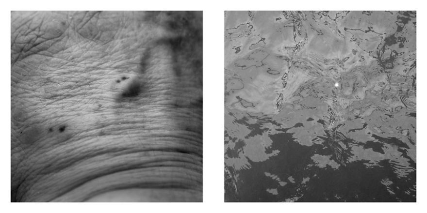 The Life Cycles Of Humans Through The Prism Of The Four Elements