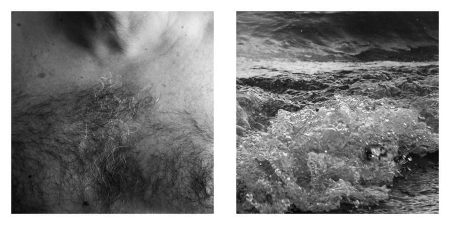 The Life Cycles Of Humans Through The Prism Of The Four Elements